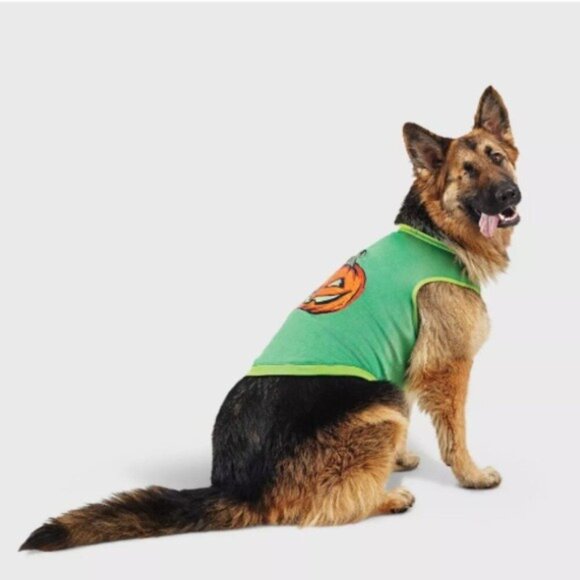 MED 🎃 Halloween Jack-o-lantern Hyde & EEK! Boutique Pumpkin CAT & DOG Costume - Picture 12 of 17